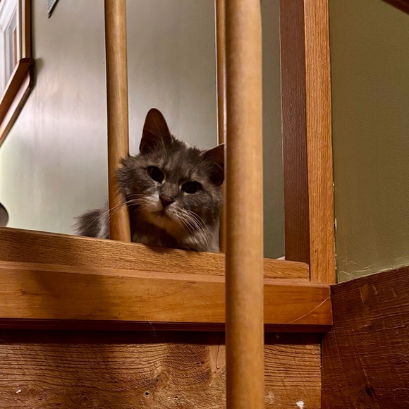 About missing tags.......... - Picture 6 of 8